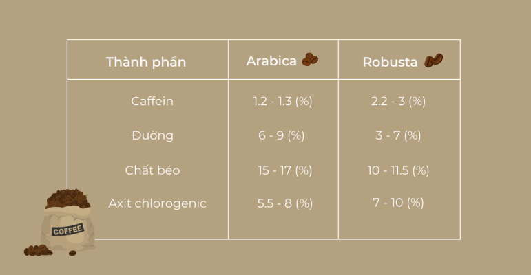 so-sánh-robusta-arabica