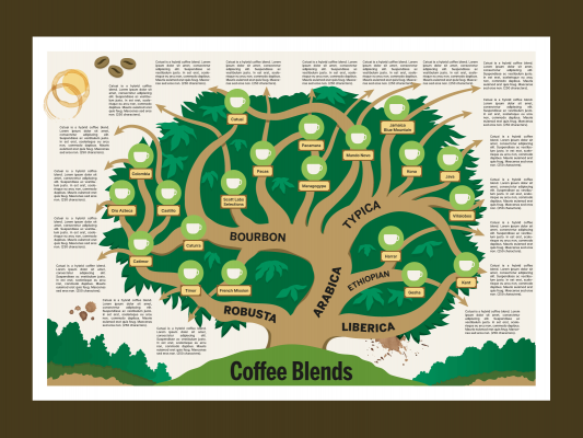 coffee-tree